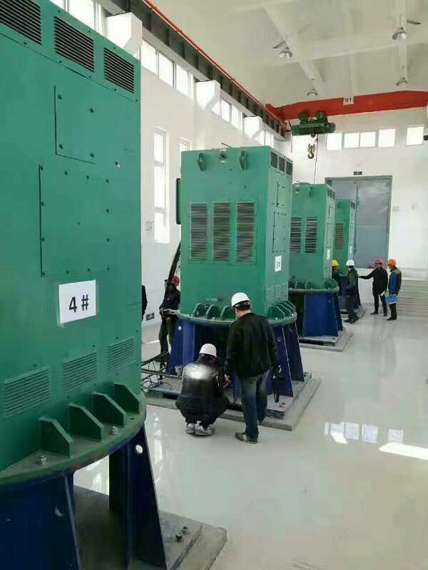 枝江某污水处理厂使用我厂的立式高压电机安装现场