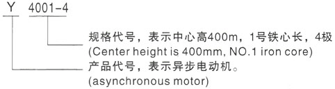 西安泰富西玛Y系列(H355-1000)高压枝江三相异步电机型号说明